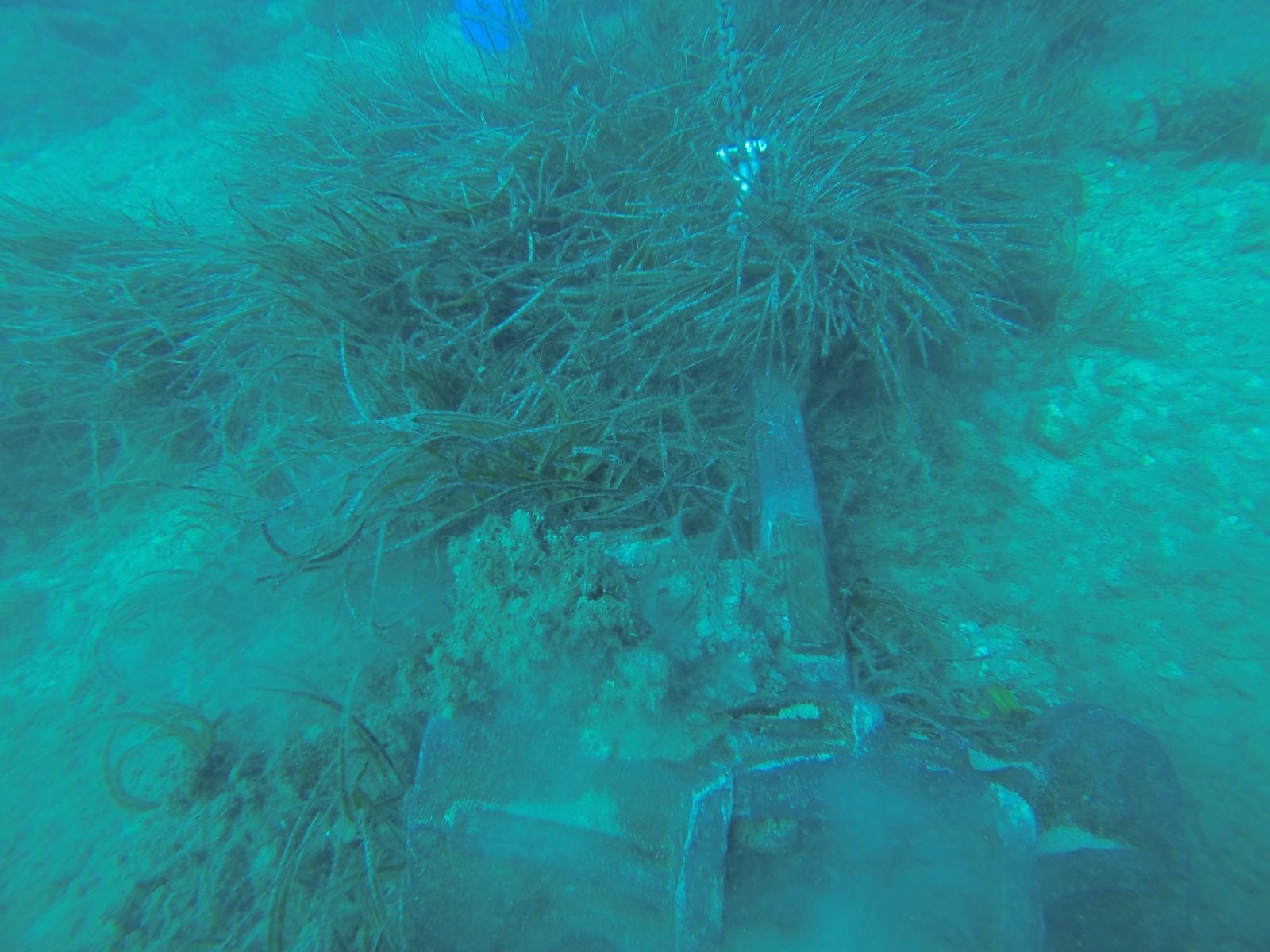 1c6c24a1-24cf-45a0-a93c-cadafc61d991