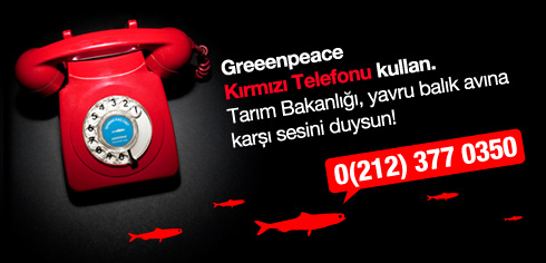 10 yasindaki doga greenpeace