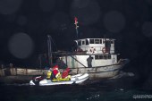 Boğazı Talan Eden Trolcüler