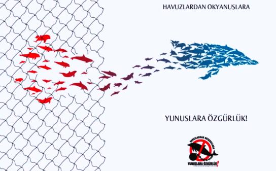 Yunus ve tel örgüler