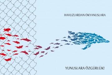 Marmaris’te yunus parkı istemiyoruz