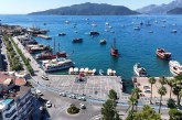 Poseidon Yosunları Yok Oluyor